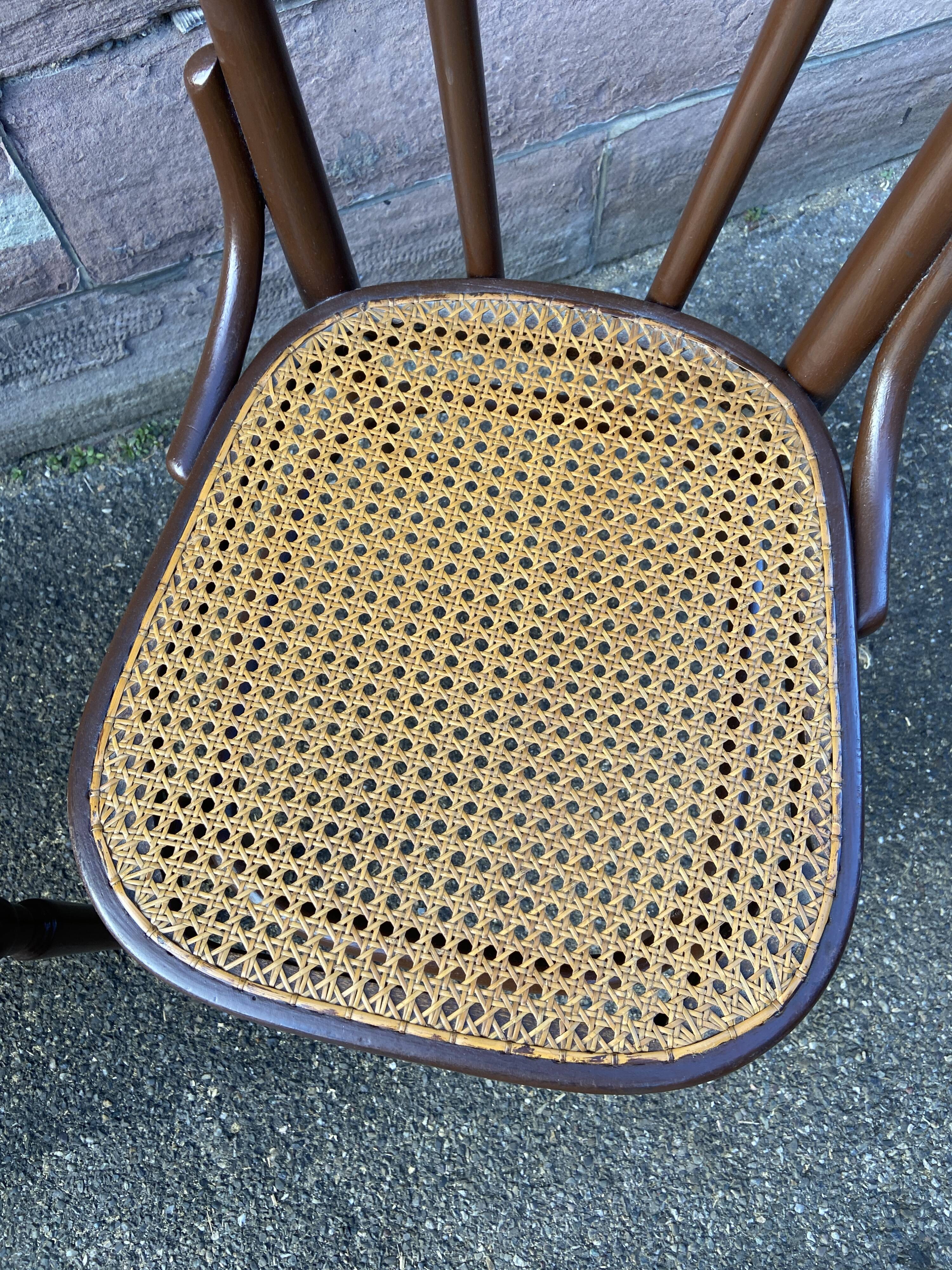 Pair of Viennese bistro chairs Fischel Nr 56 bentwood