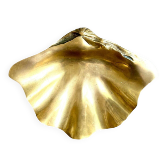 Shell pocket in gilded brass