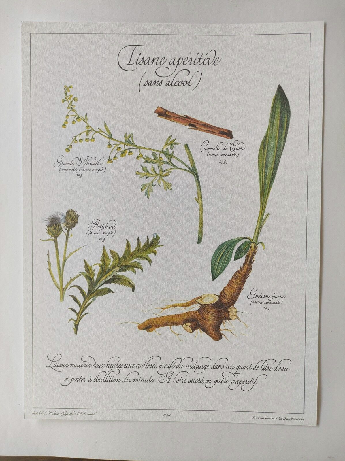 Botanical illustration -Aperitif herbal tea- Engraving of medicinal plants and herbs