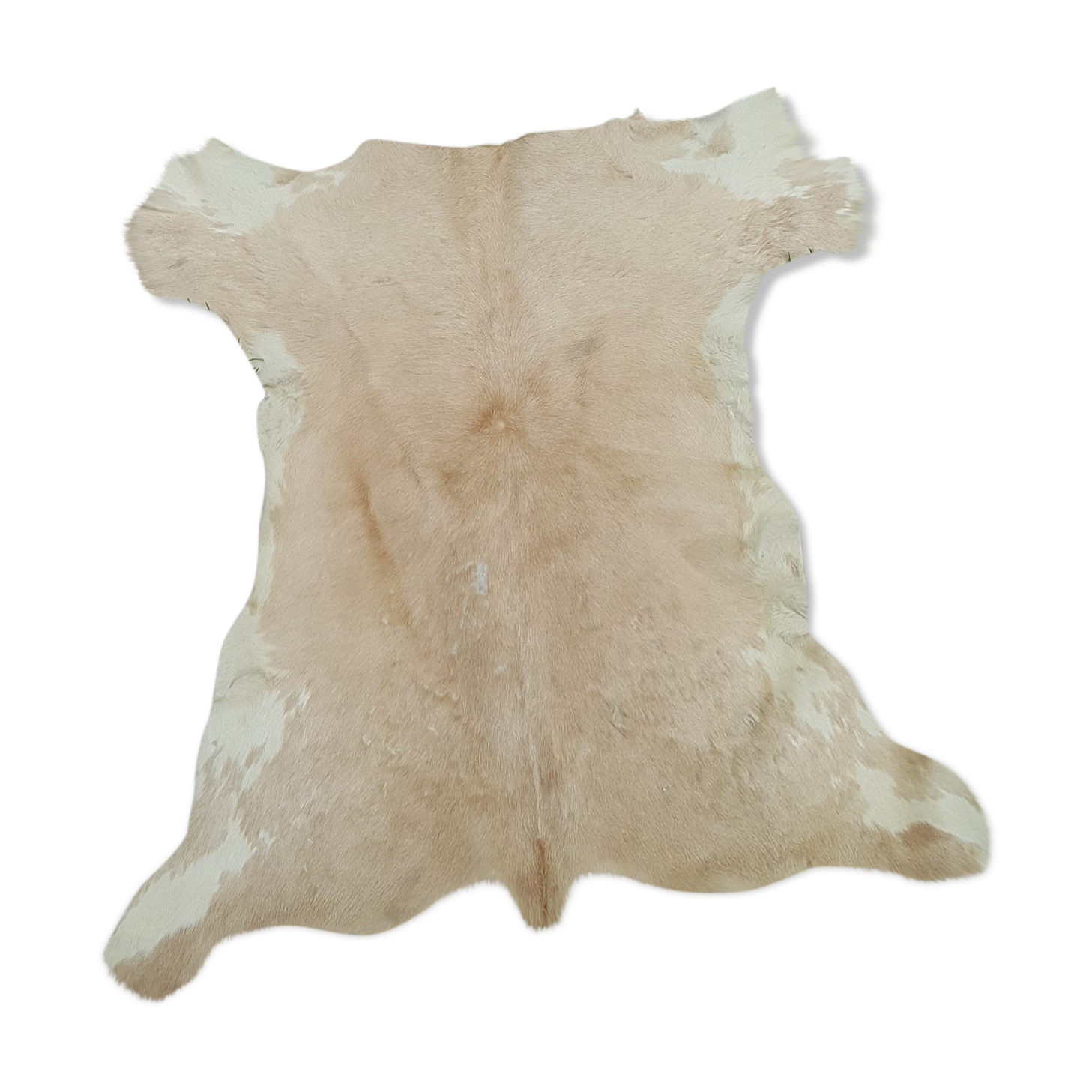 Tanned goat skin, 1970s