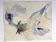 Hervé DELATOUCHE Untitled, 1972. Watercolour on paper signed with a brush.