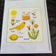 Vintage paintings for children's rooms