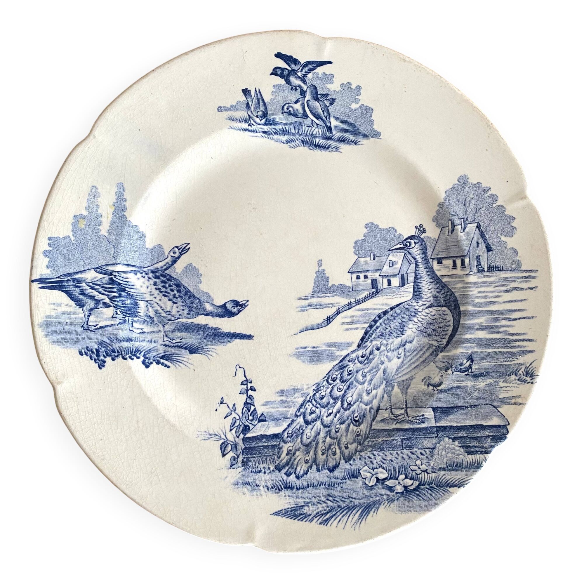 Assiette terre de fer "Rustic" paon