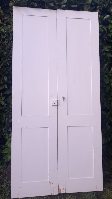 Pair of doors 229,5x110cm closet