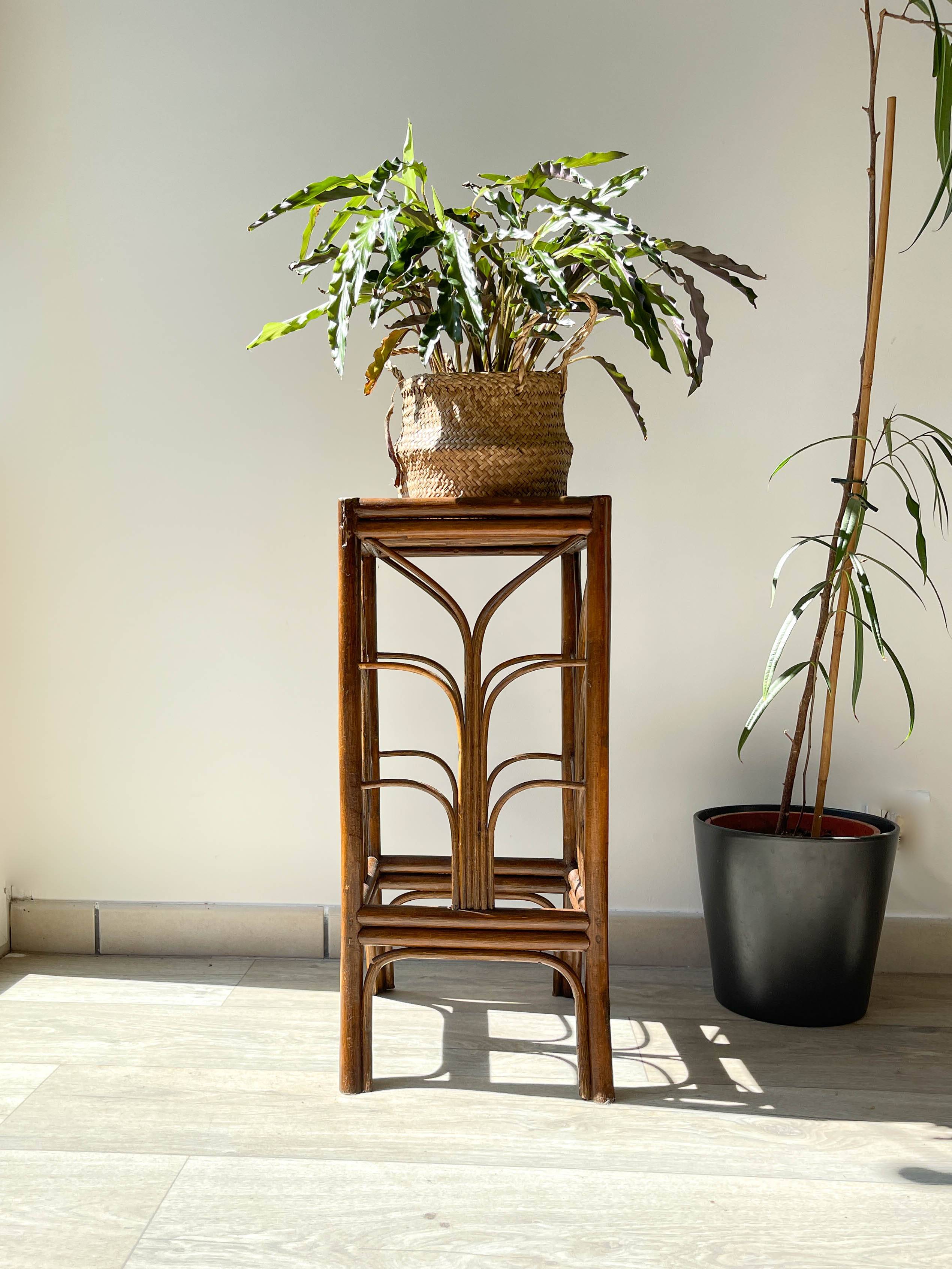 Vintage rattan plant stand in Art Deco style