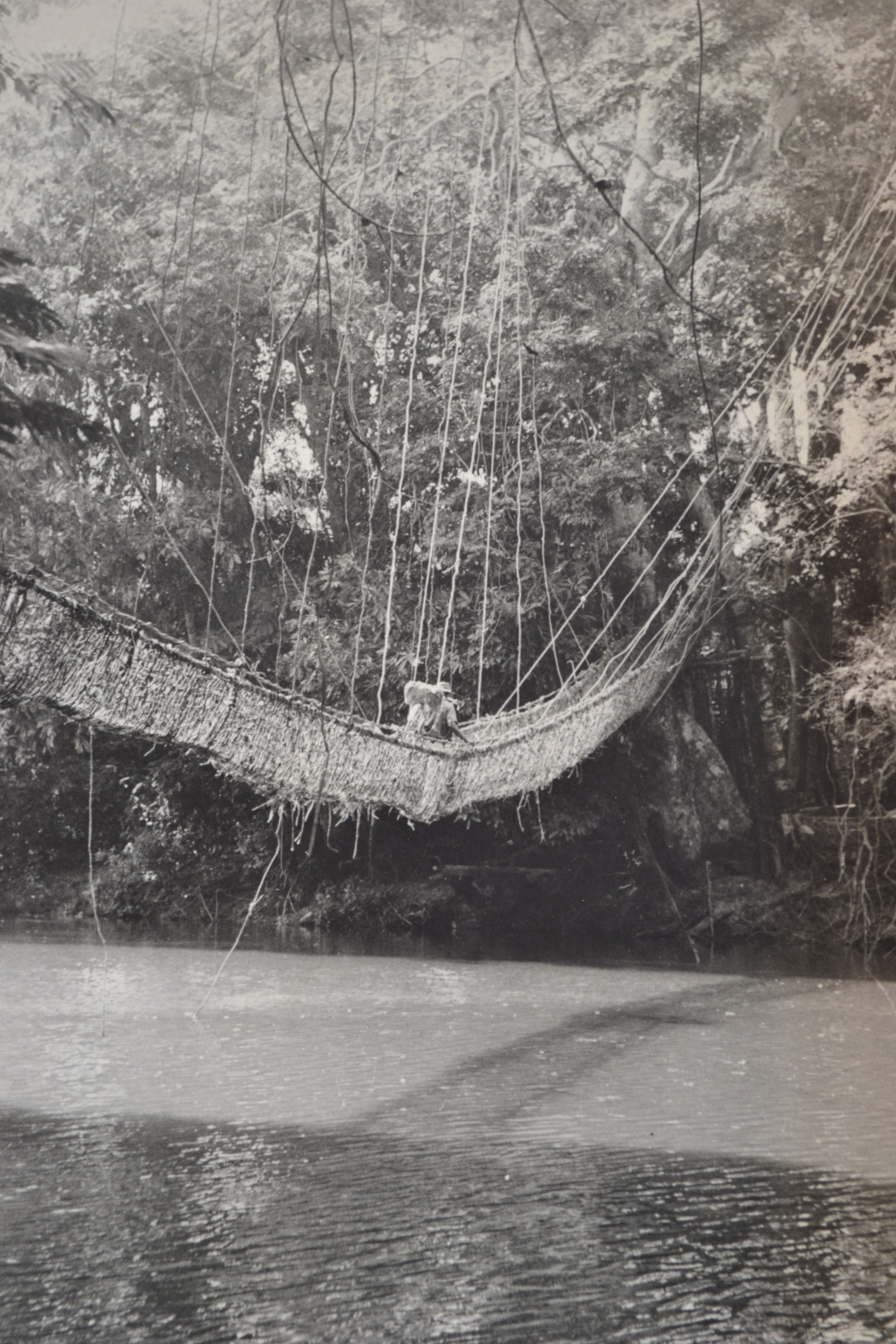 Anonymous silver photo africa gabon lianes bridge circa 1970