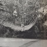 Anonymous silver photo africa gabon lianes bridge circa 1970