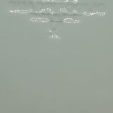 8 white ceramic plates