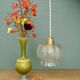 Vintage clear glass globe pendant light