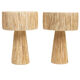 Paire de lampes de table