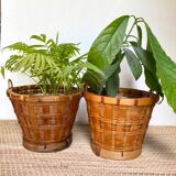 Rattan planters