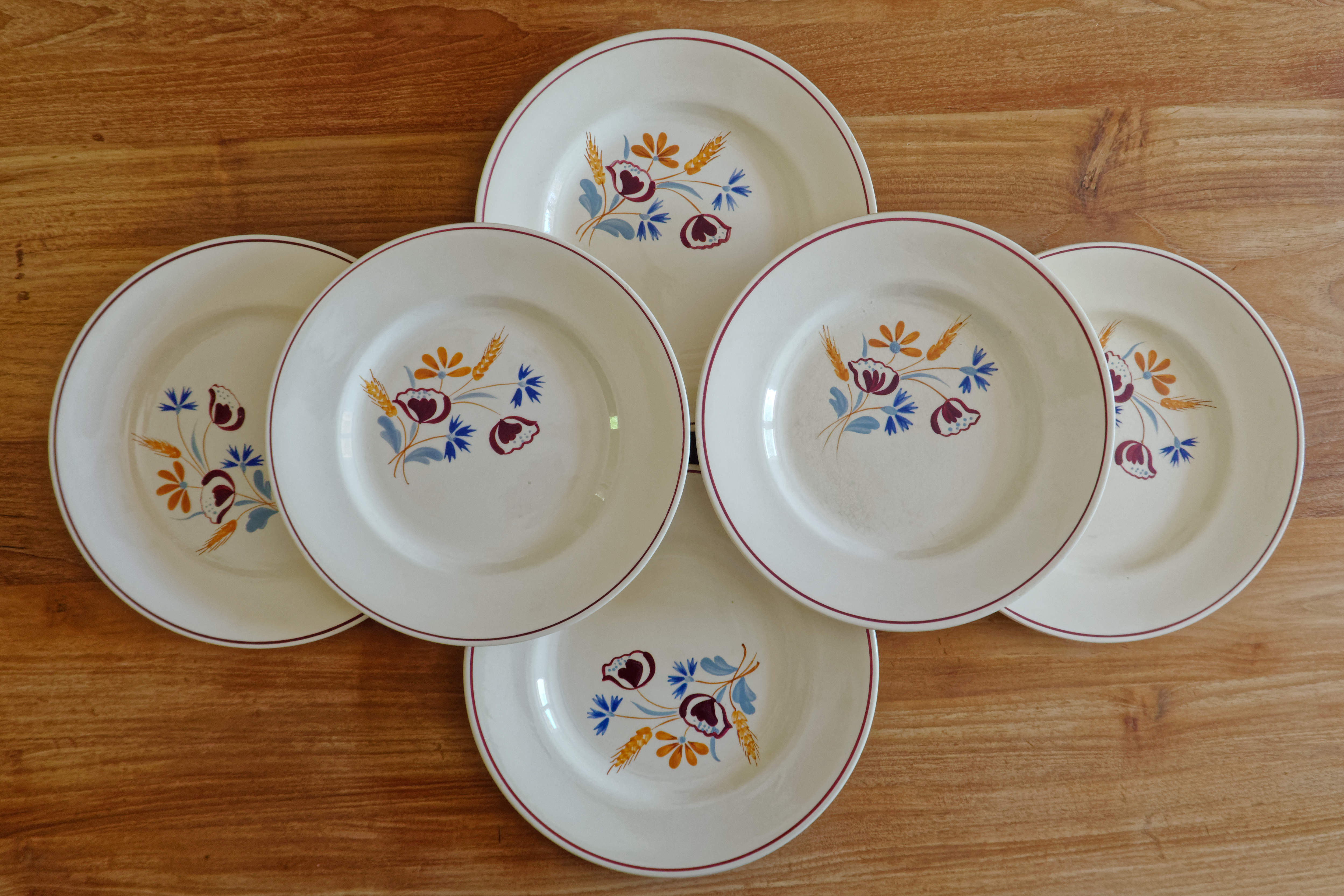 Lot 6 old plates Salins France