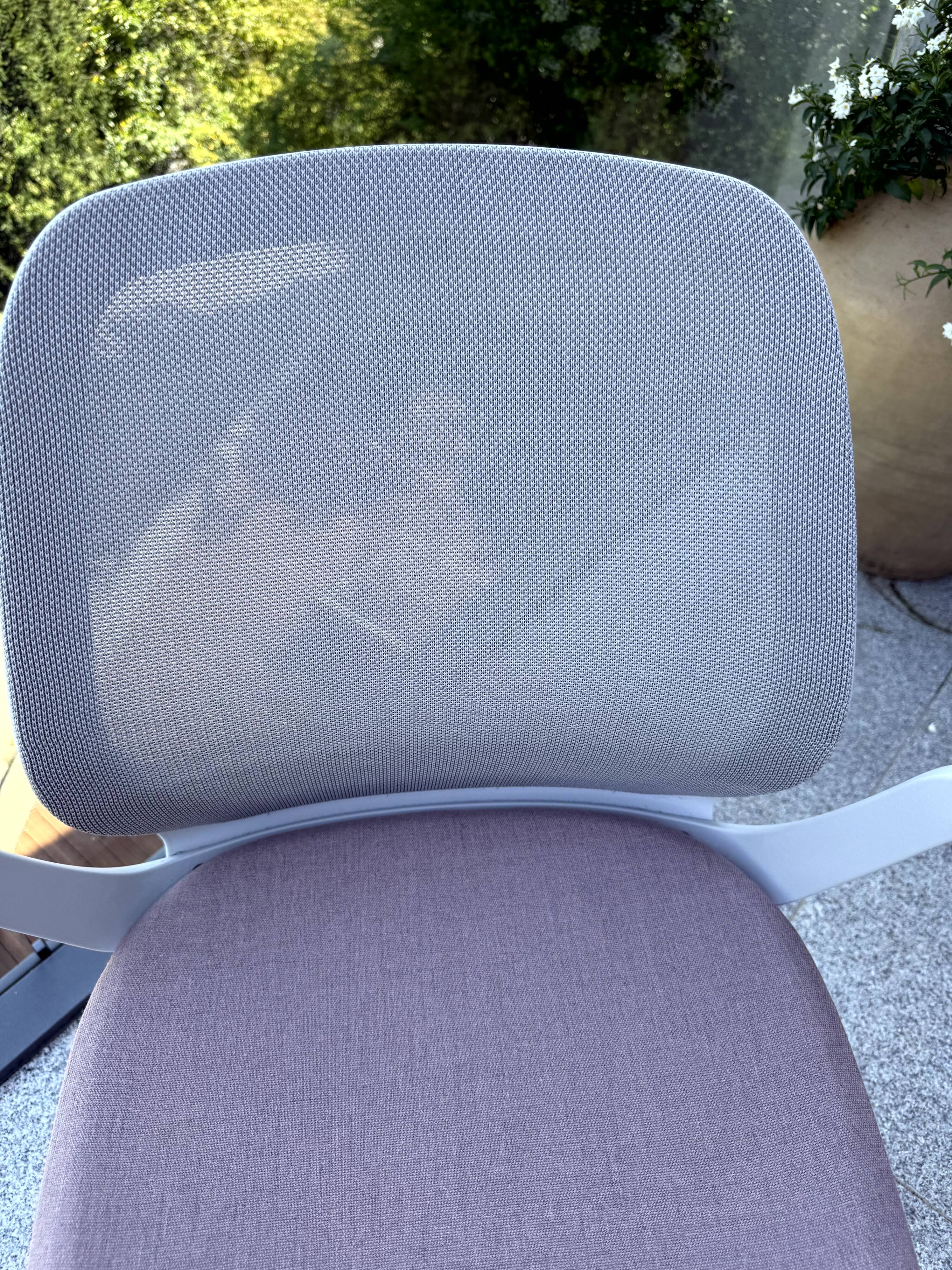 Sedus chair – SE:FLEX Freischwinger