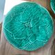 6 Gien slip dessert plates with leaf decoration