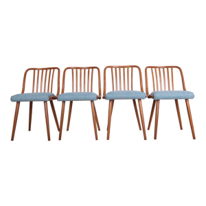Chaises de salle à manger - antonin suman