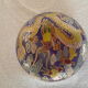 Bonbonnière en émail cloisonné Dragon
