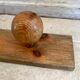 Vintage wooden coat rack