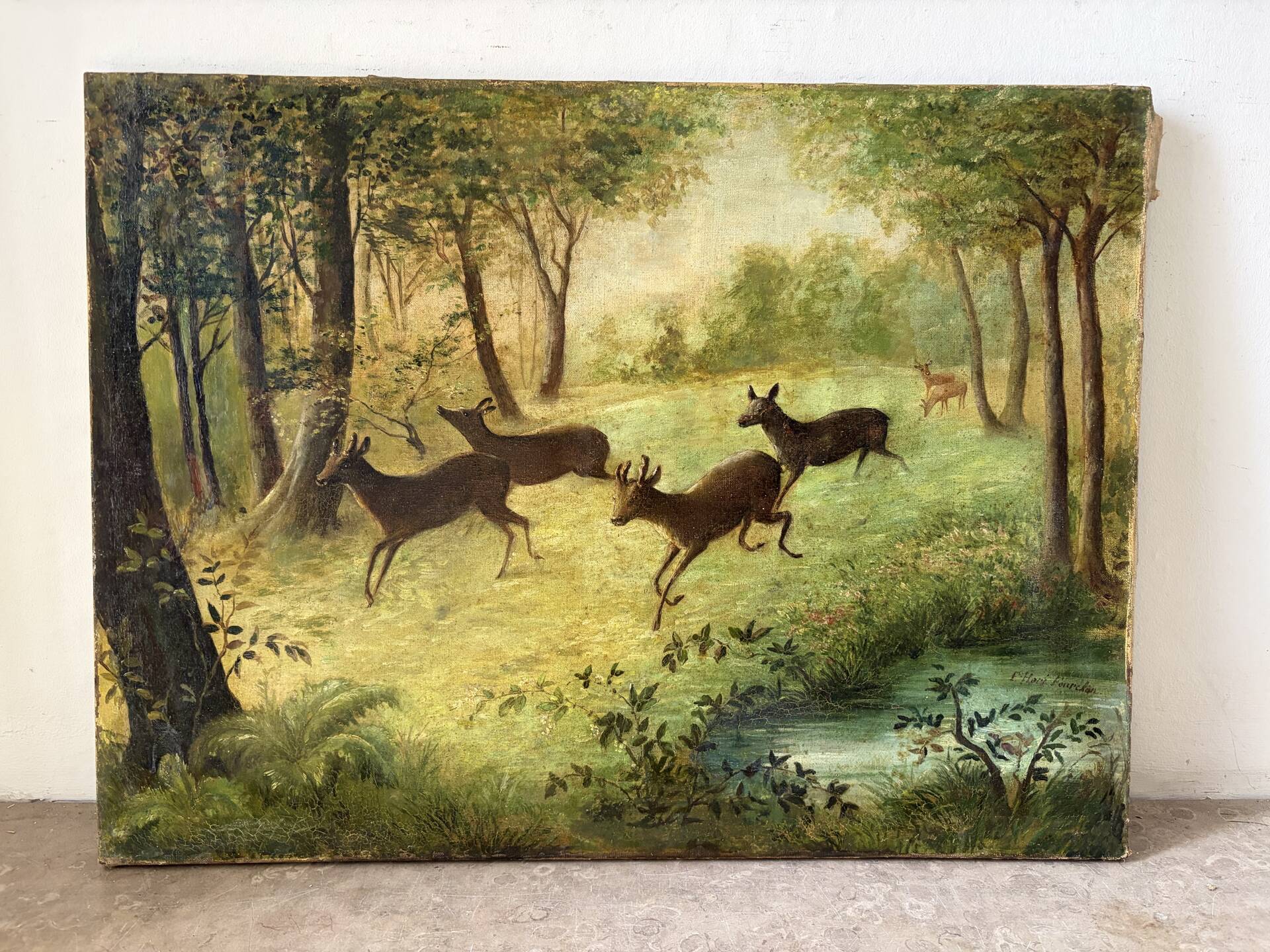 Clearing with five deer, oil on canvas signed F Hari Fourchon