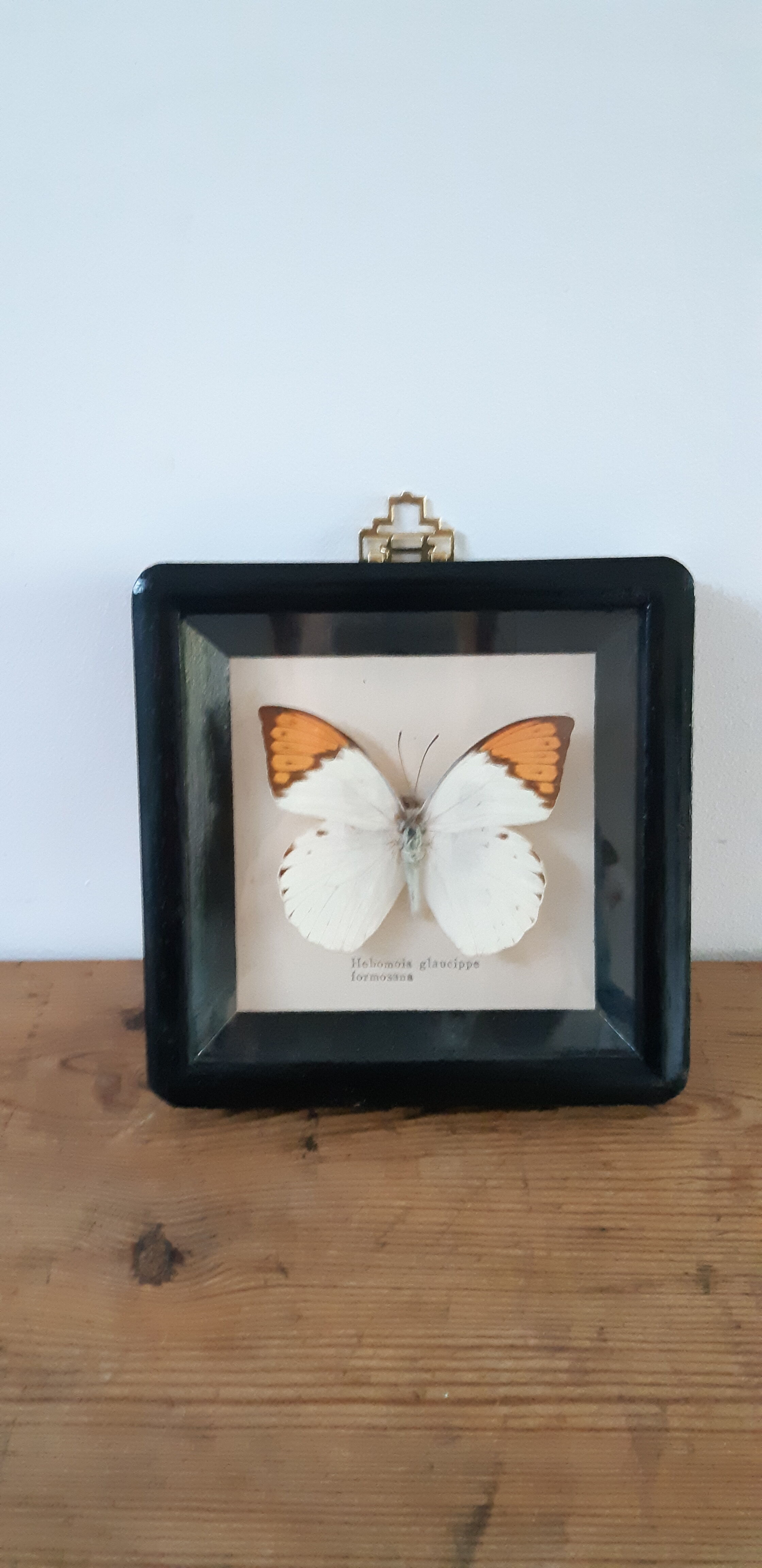 Butterfly frame