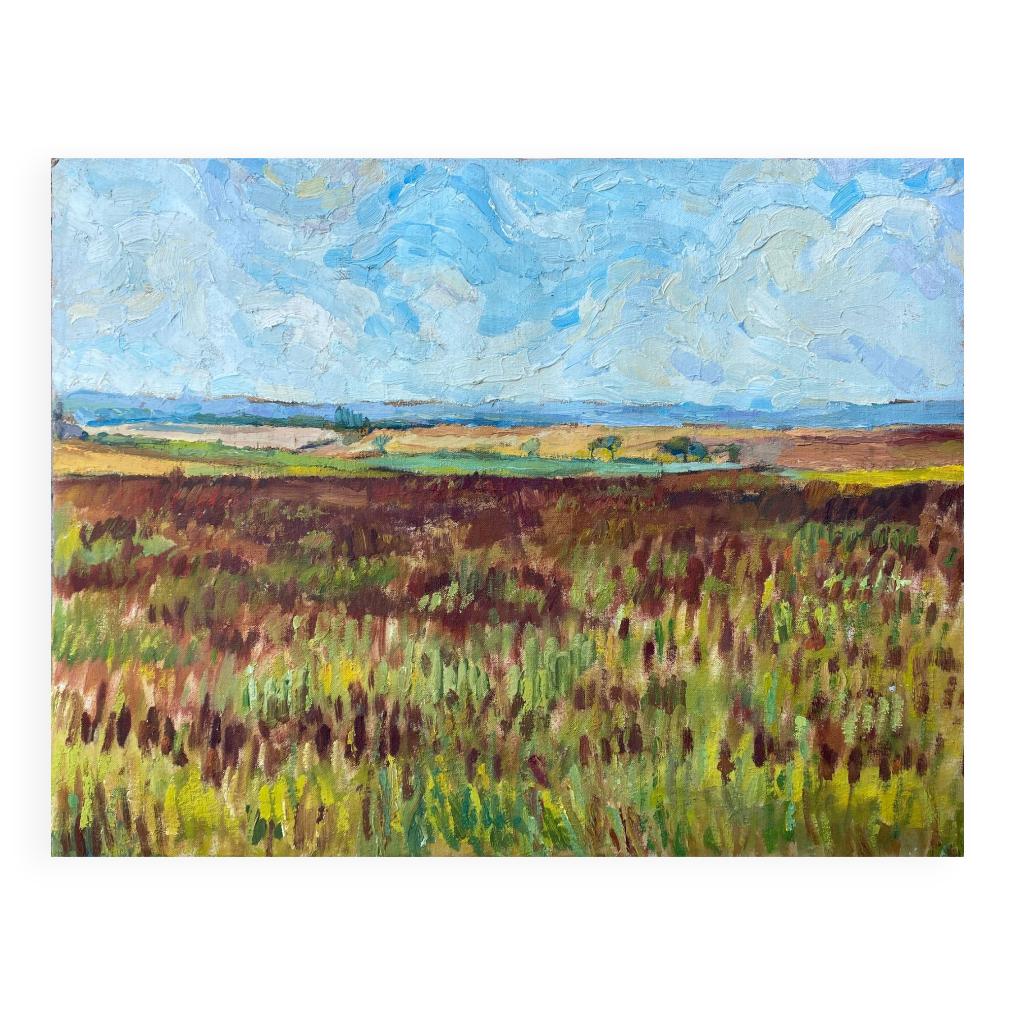 HST painting "Countryside landscape" Fields and valley in summer