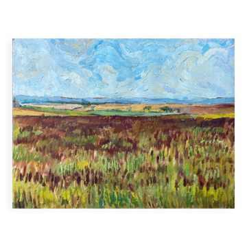 HST painting "Countryside landscape" Fields and valley in summer