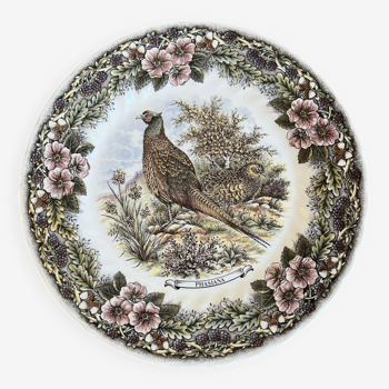 Churchill plate english earthenware model wildlife the pheasant