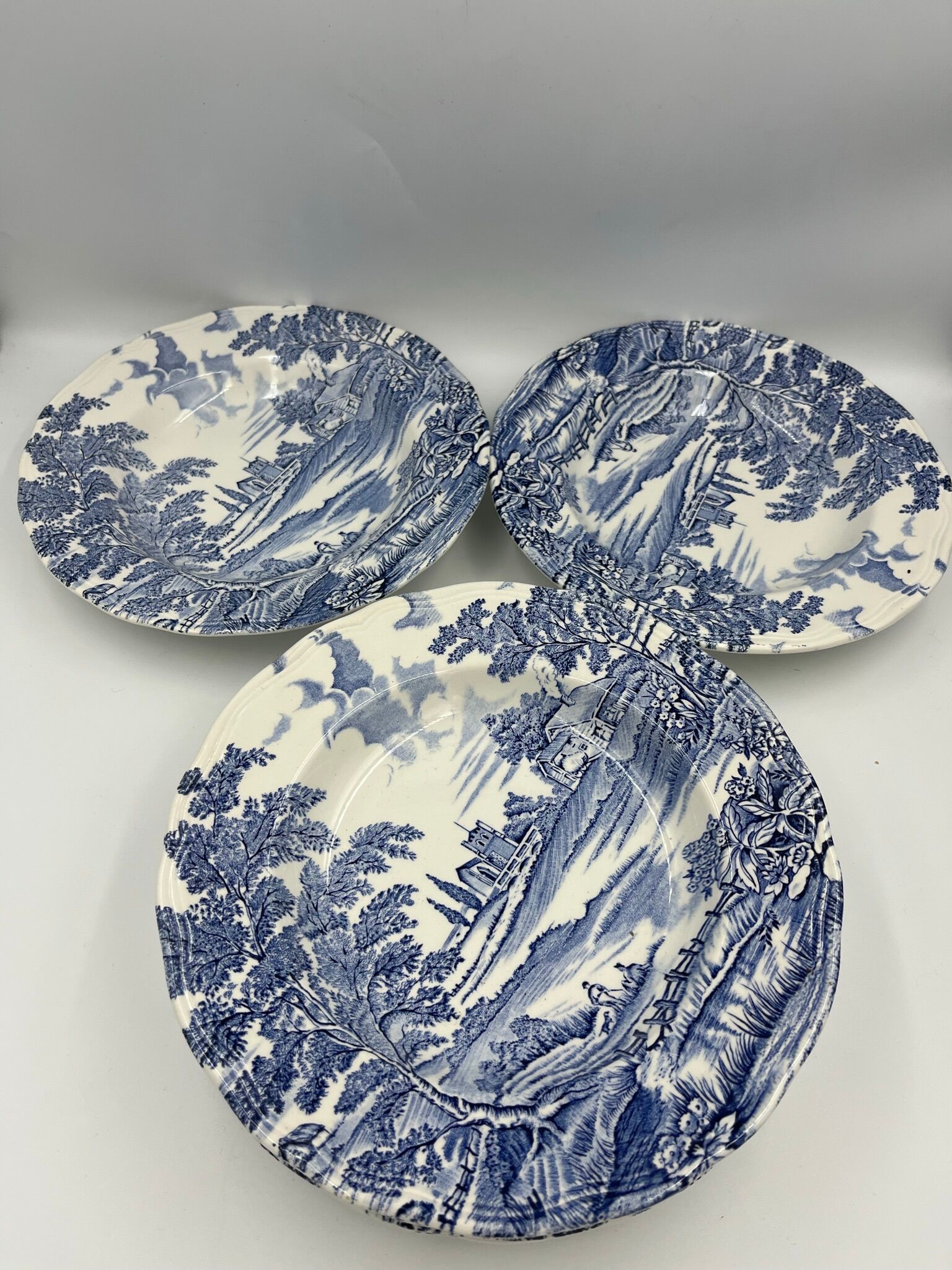 6 Hollow plates English Vintage style
