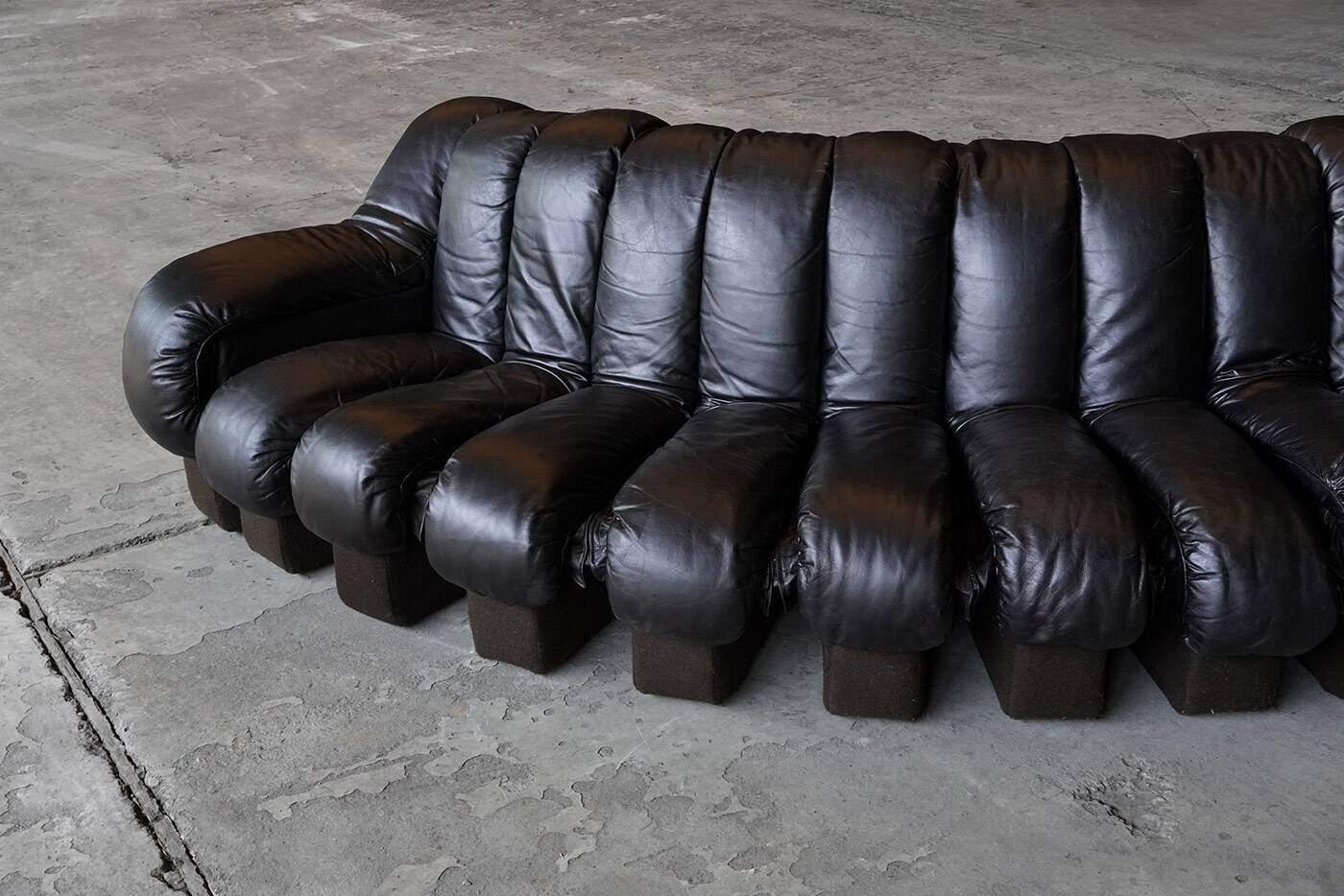De Sede DS600 snake sofa in black leather by Ueli Berger, Switzerland 1970s