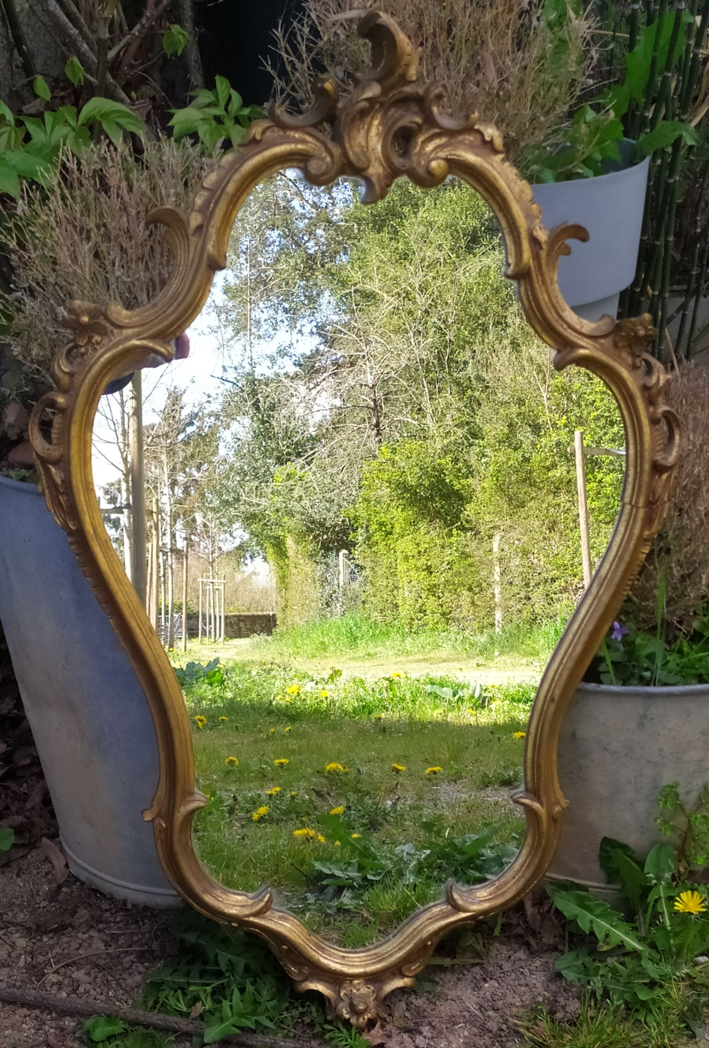 Baroque mirror in gilded wood 87x54cm