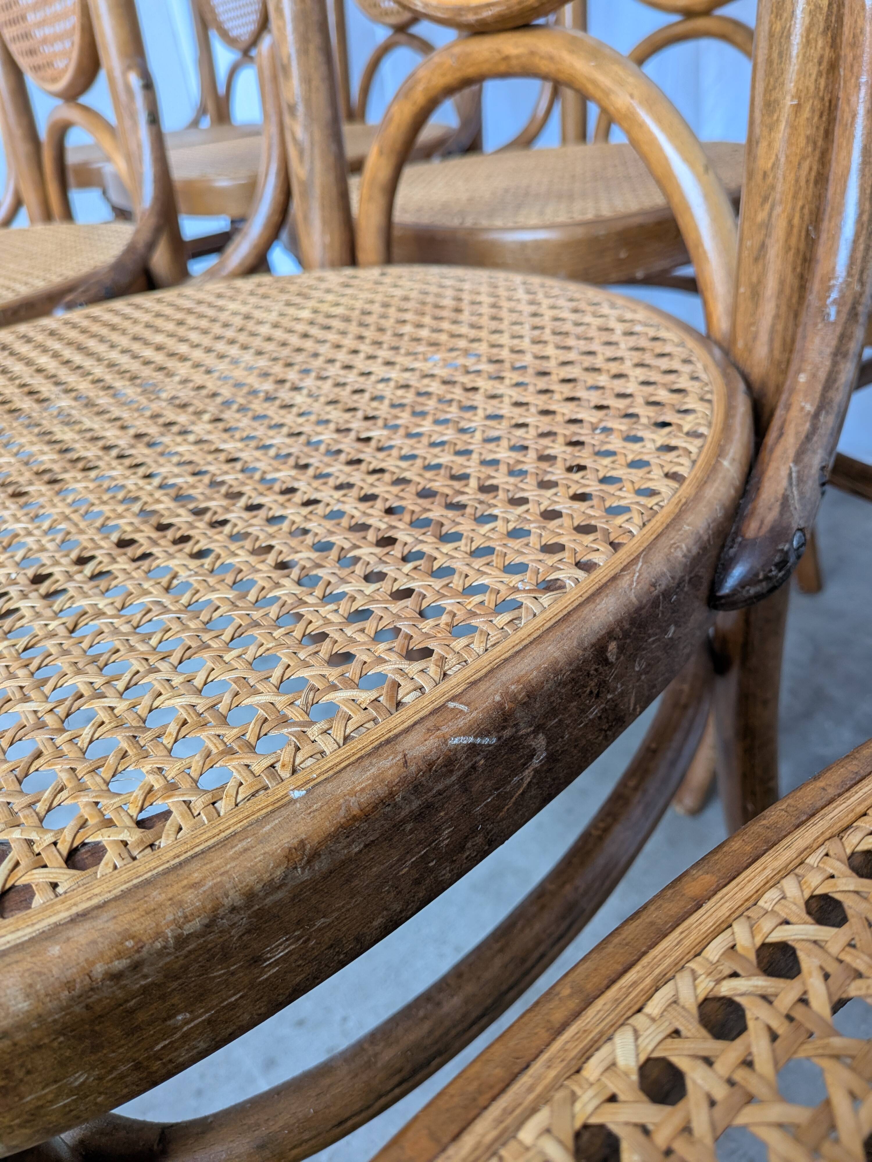 Set of 8 Vintage Bentwood Cane Dining Chair, Thonet Style, 1970s Yugoslavia