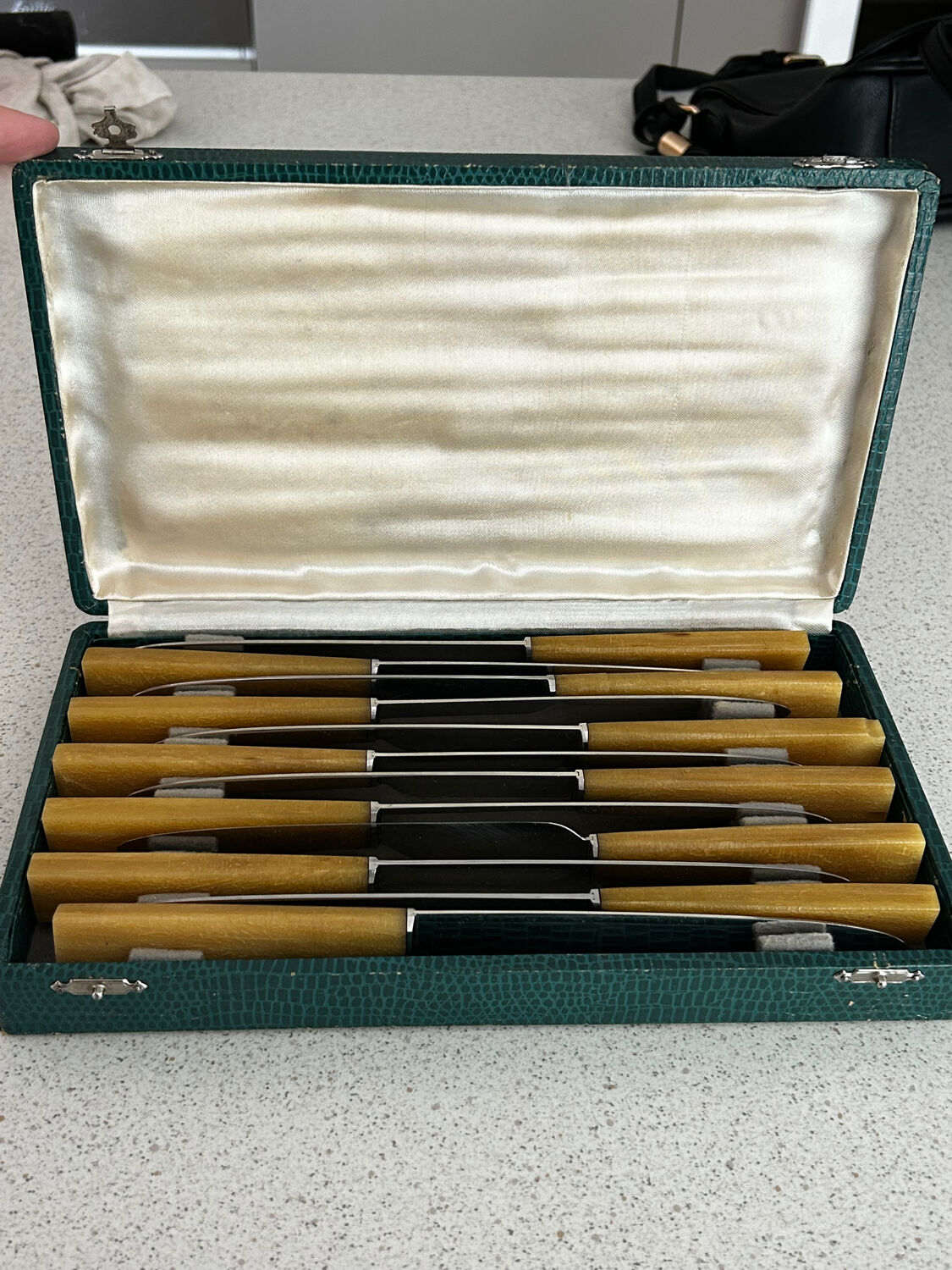 Box of 12 knives with horn handles