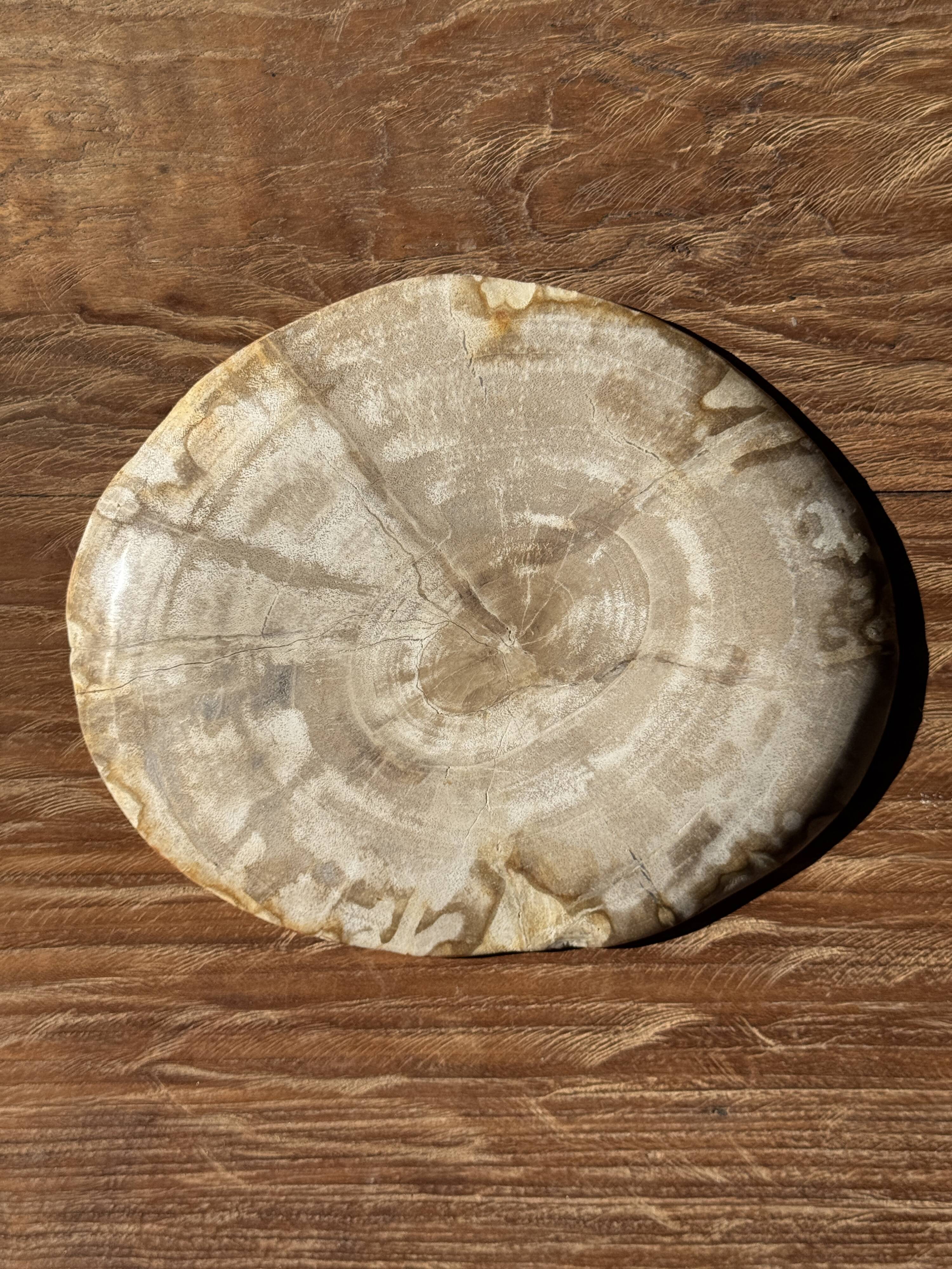 Small oval beige petrified wood dish or tray with speckled edges.