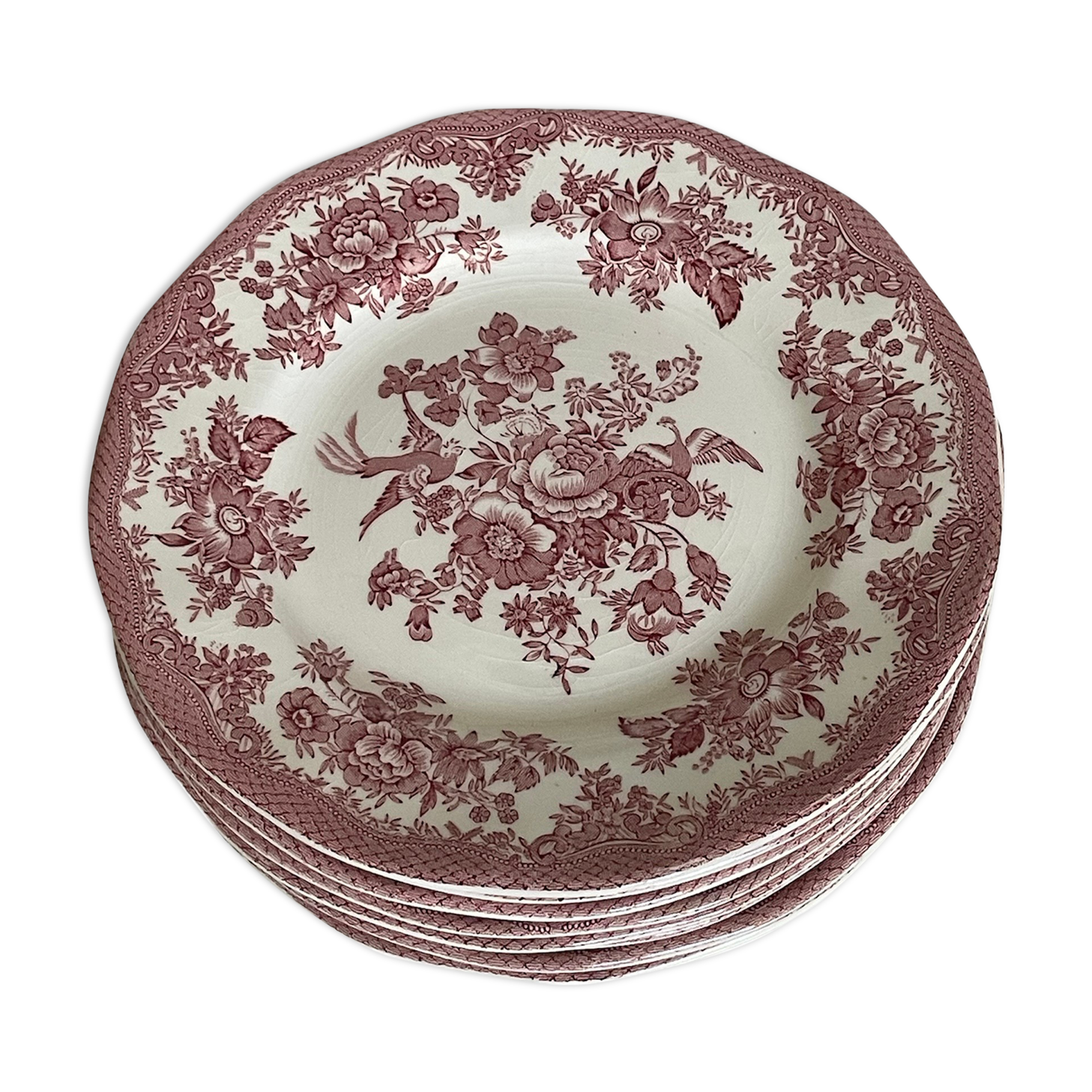 Lot de 8 assiettes faïence Wedgwood modèle faisan asiatique rose