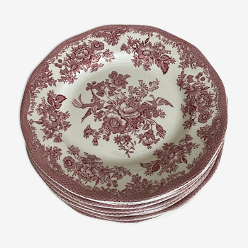 Set of 8 plates Wedgwood earthenware model pink Asian pheasant