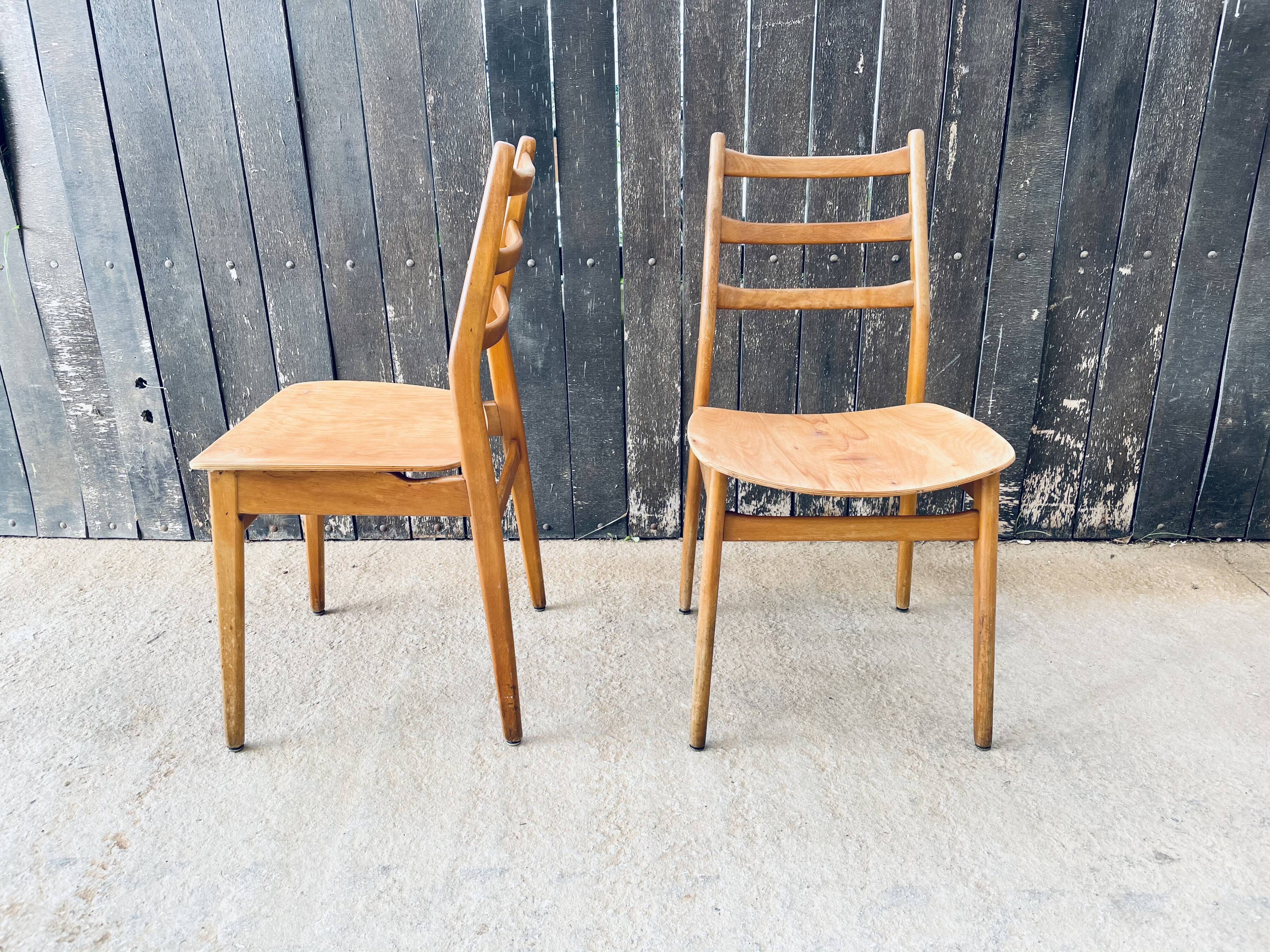 Pair of Chairs Casala Modell