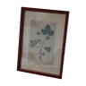 Vintage clover botanical frame