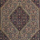Tissé à la main - Tapis Bidjar Tekab