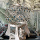 Birdcage