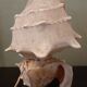 Lampe coquillage