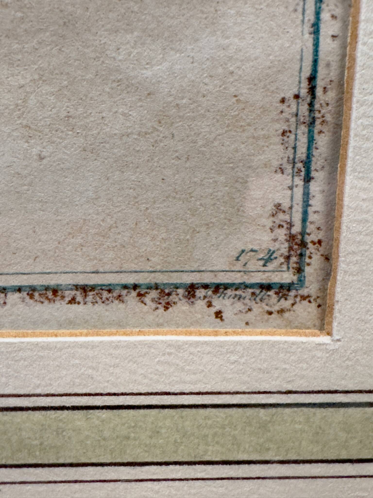 Old engraving tropical fish – Ludwig Schmidt (19th century)