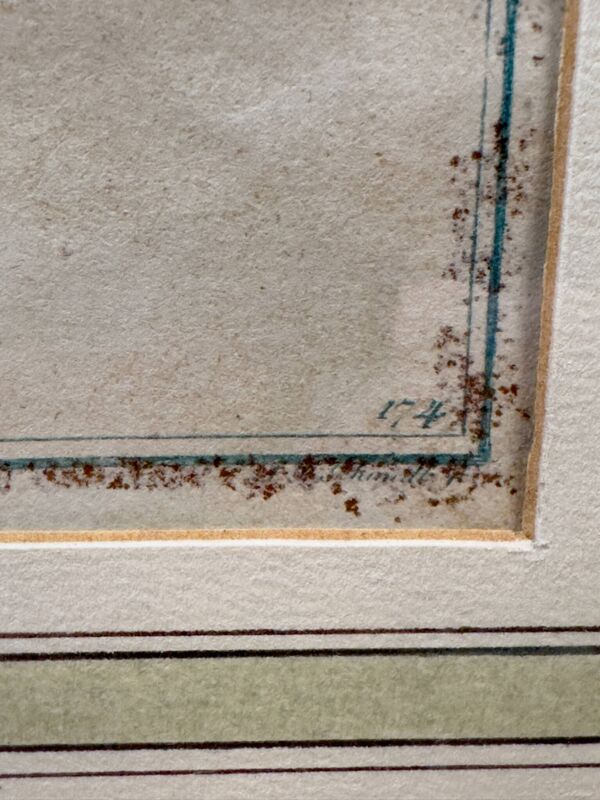 Gravure ancienne poisson tropical – Ludwig Schmidt (XIXᵉ siècle)