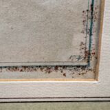 Old engraving tropical fish – Ludwig Schmidt (19th century)