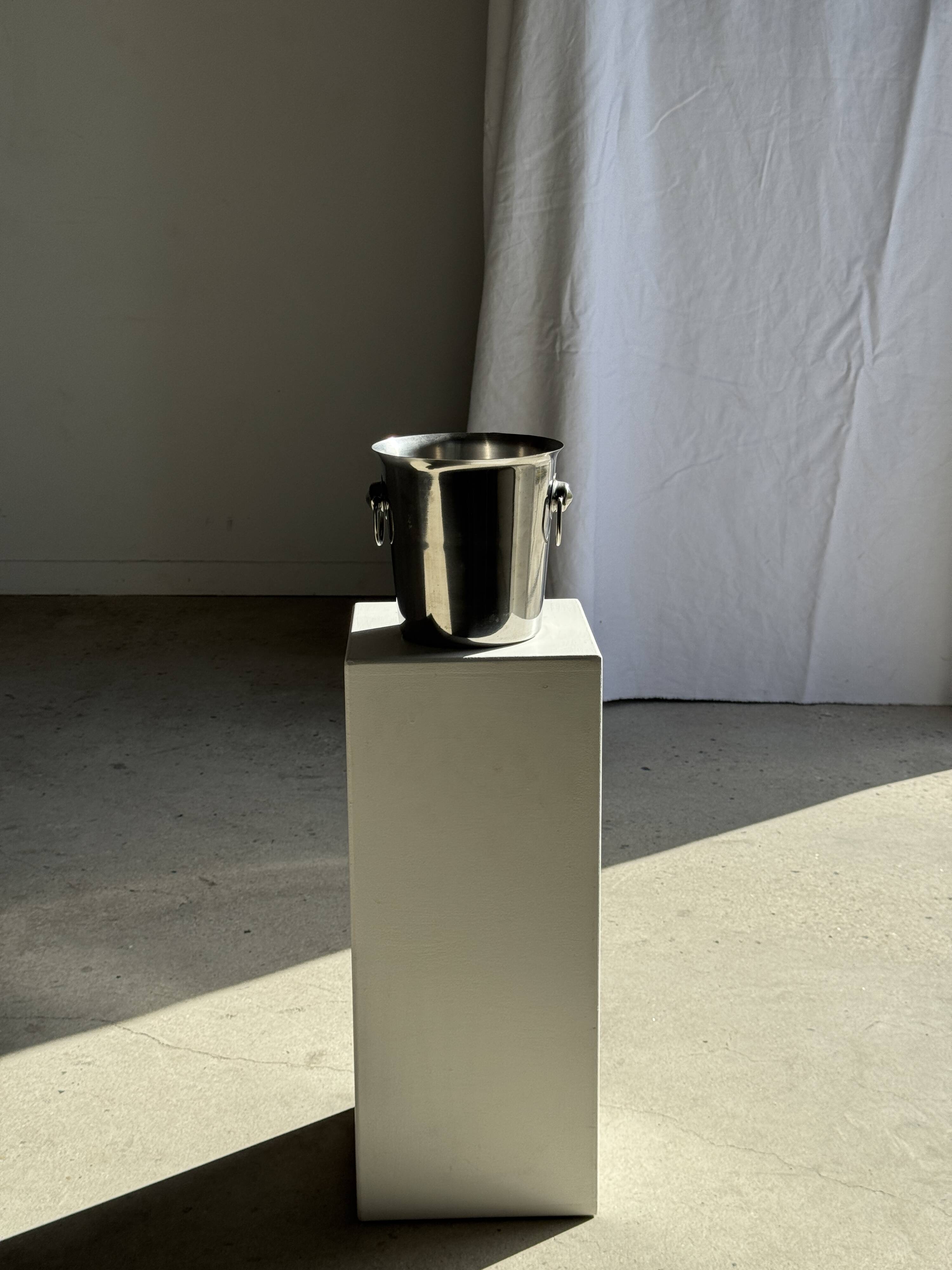 Stainless steel champagne and wine bucket with handle D19 H19