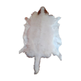 Sheepskin