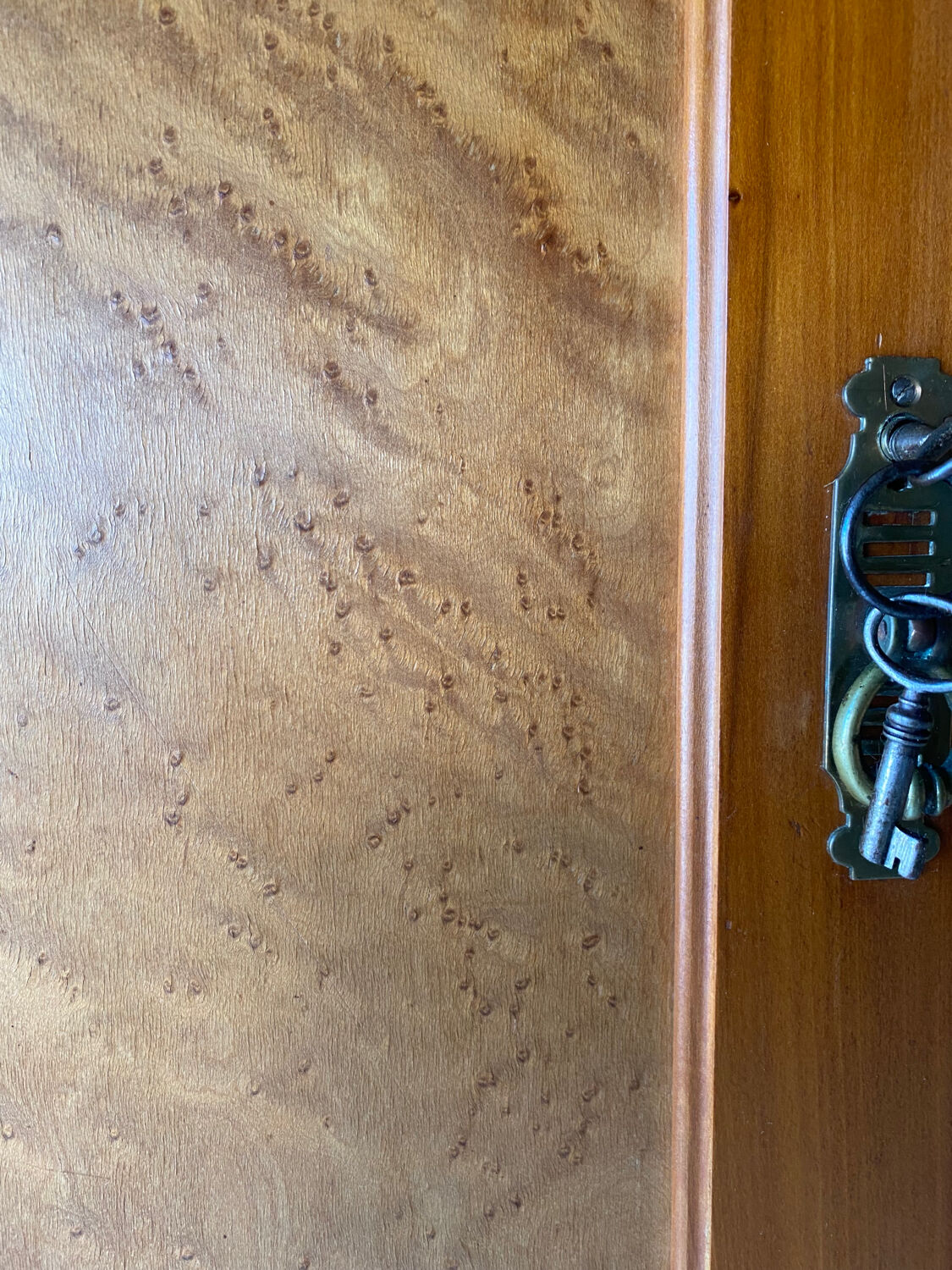Art Deco hotel-style Parisian wardrobe chest or
