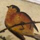Vintage frame bird painting on a branch