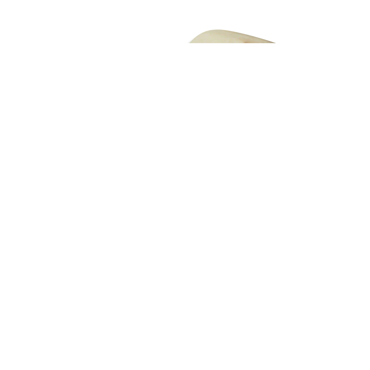 Old patère in Paris earthenware