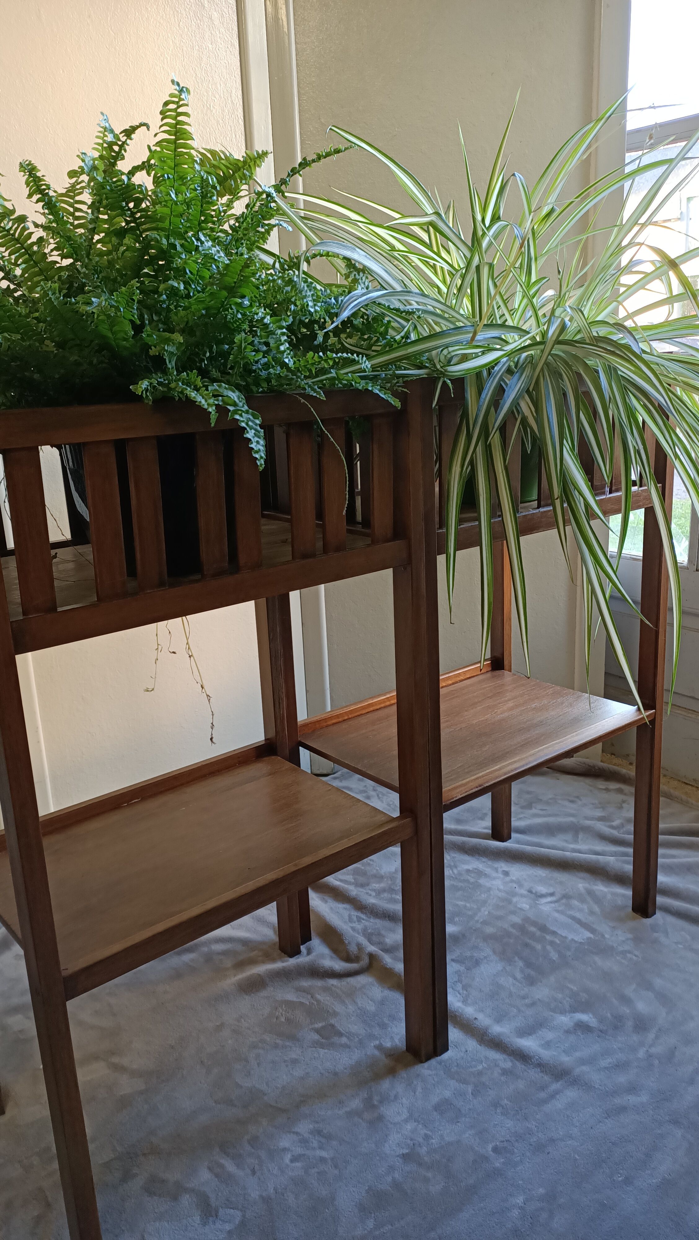 Pair of indoor planters