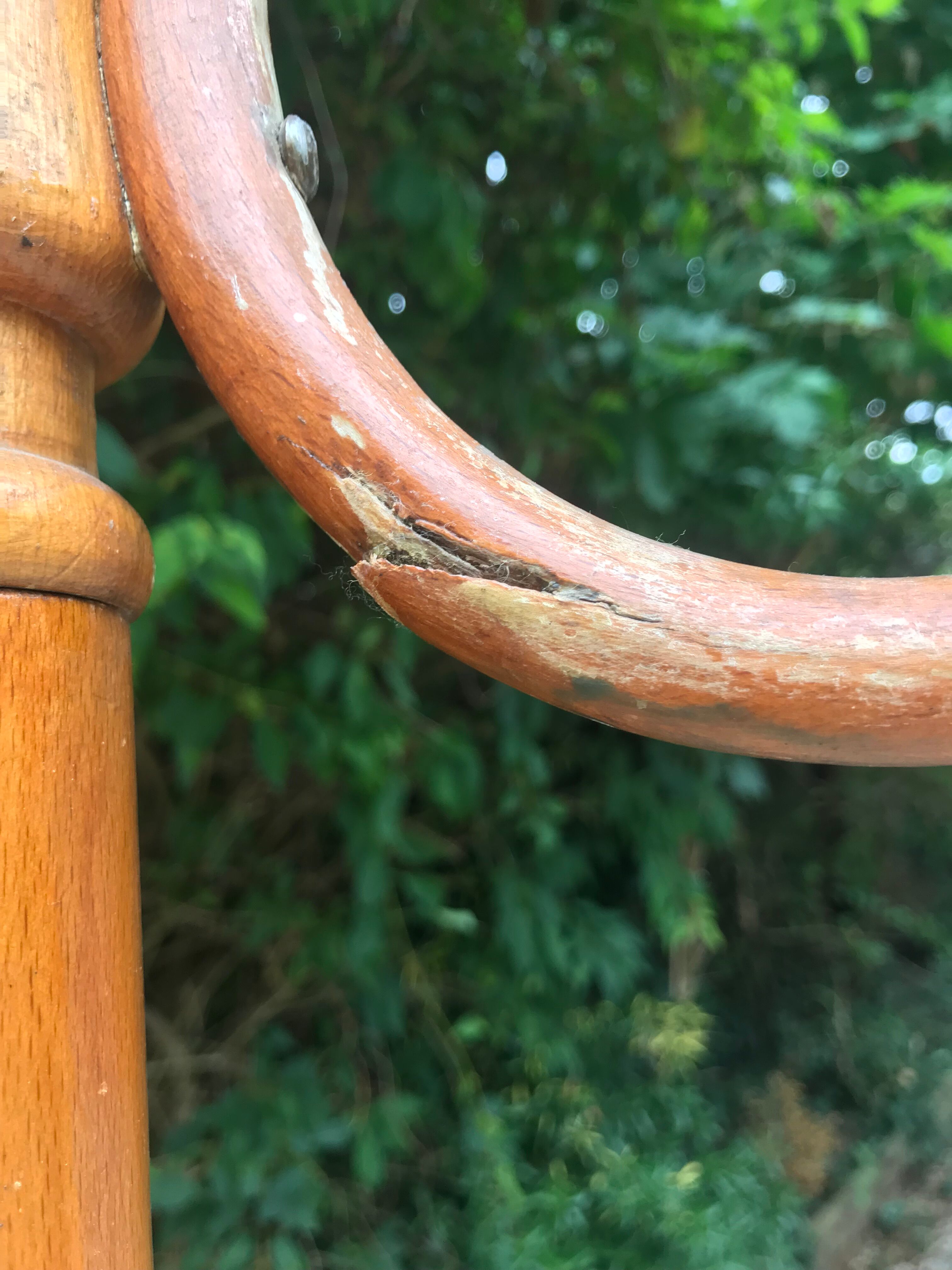 Parrot coat holder