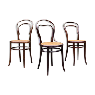 Trio chairs bistrot Thonet, Fischel and Mundus early twentieth century